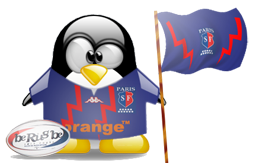 penguin pingouin pinguino 654
